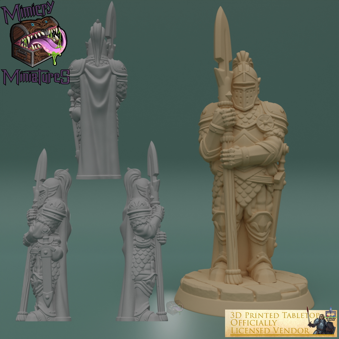 Royal Guards - The Lost Adventures by 3D Printed Tabletop image 3